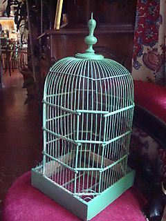 Bird cage