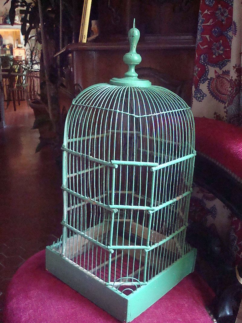 Bird cage