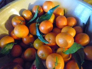 Clementines