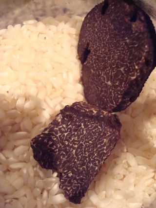 Black truffle