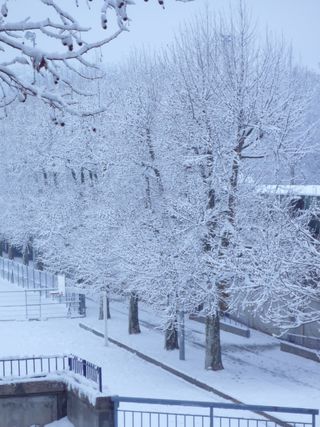 Glaciale provence