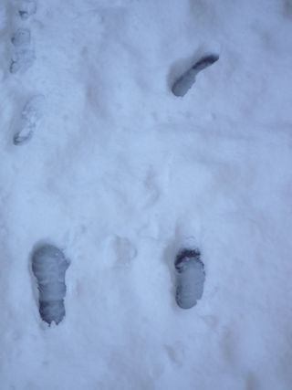 Steps in snow