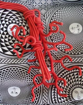 Coral declercq and fornasetti