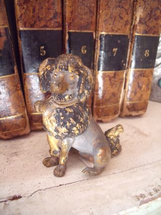 French poodle bronze de vienne