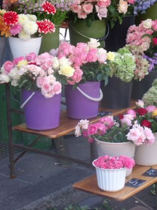 Flowers market in Geneva