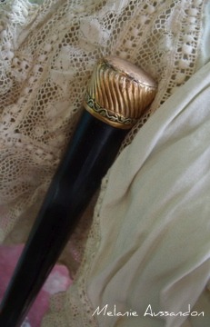 French royal umbrella