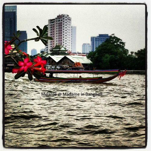 Long tail boat on the chao Phraya River Bangkok