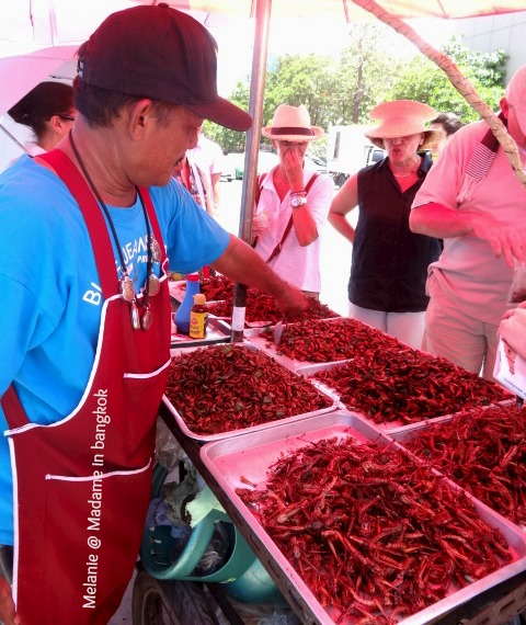 Insects seller in Chatuchak