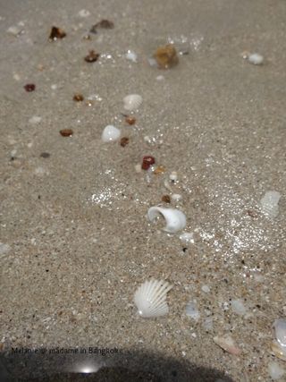 Coquillages dans l'eau de koh chang