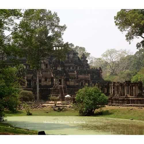 Image Image