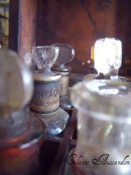 French curiosites apothecary box