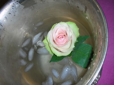 Ice_roses