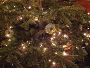 Lights_in_my_tree_2